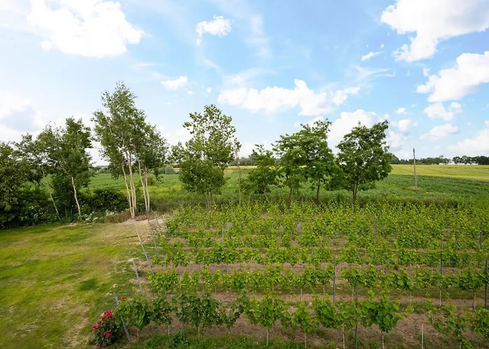 Διαμέρισμα Maro Winnica Trzebun (Koscierzyna)