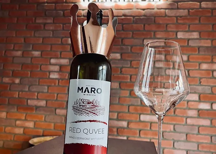 Διαμέρισμα Maro Winnica Trzebun (Koscierzyna)