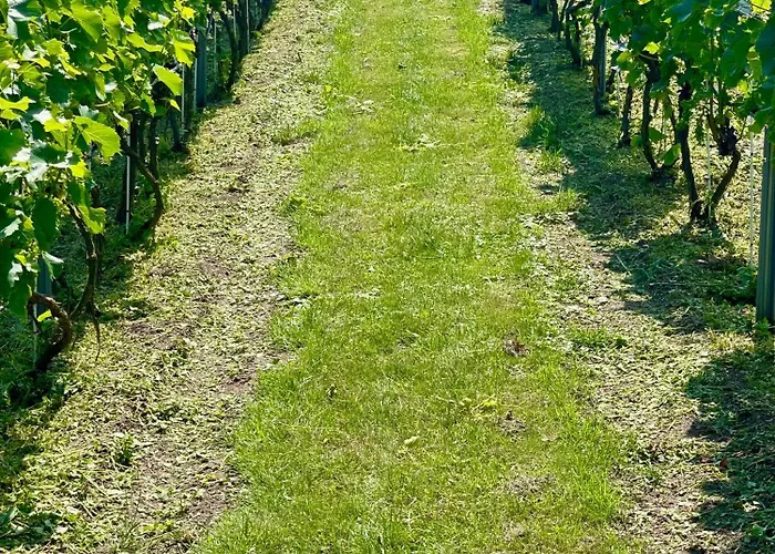 Διαμέρισμα Maro Winnica